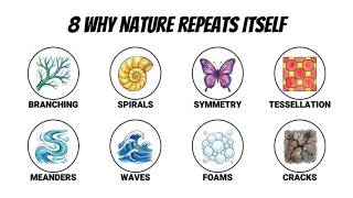 8 Fractal Patterns: Why Do Plants Repeat Themselves?