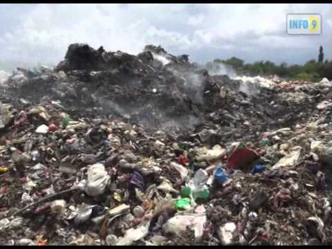 \"ეს ძროხები არ იწველებიან\"