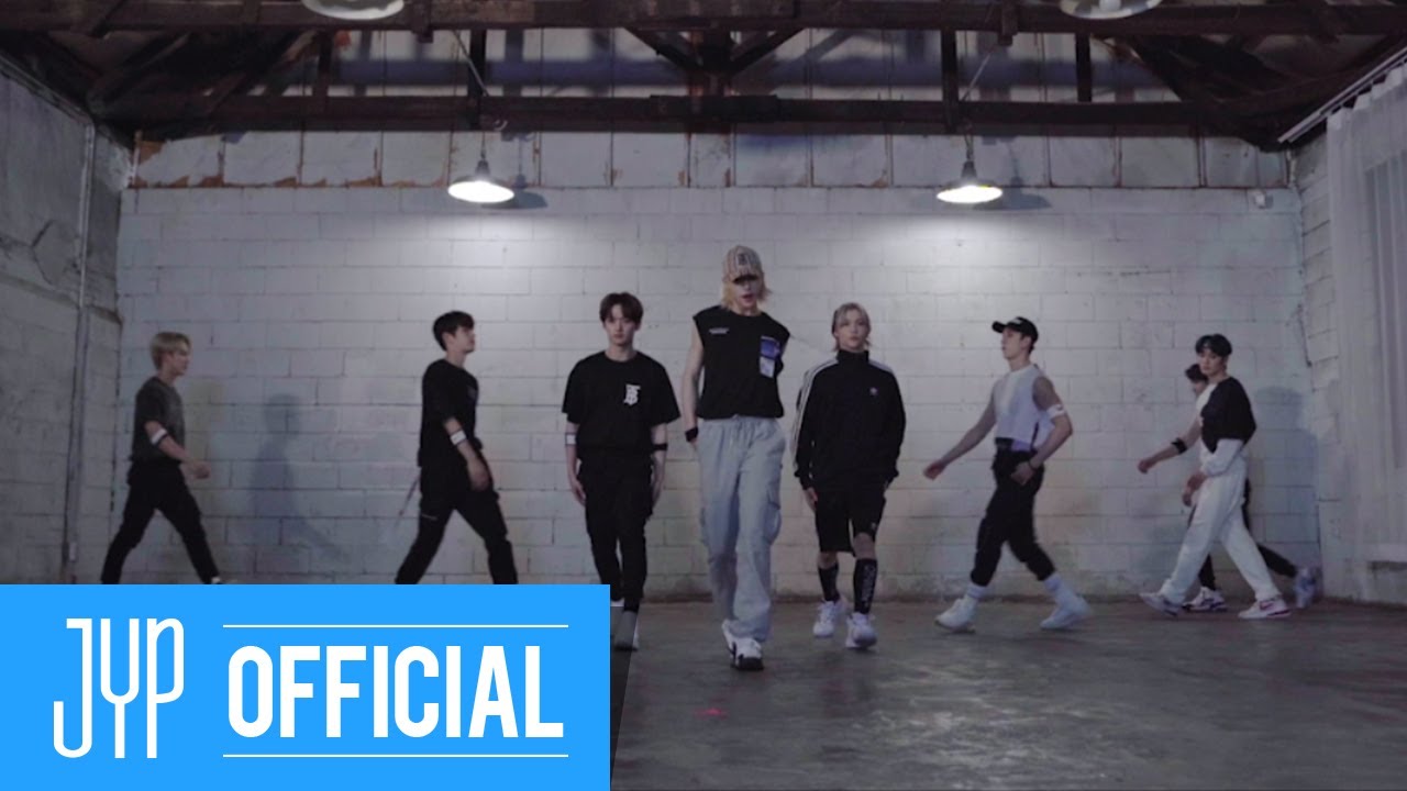 Stray Kids Back Door Dance Practice Video