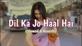 DIL KA JO HAAL HAI ❣️❣️ 