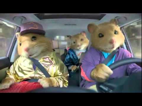 Kia Soul Commercial >> What Is Hamsters? (What is love "A Night at roxbury" 's ... Kia Soul Commercial >> What Is Hamsters? (What is love "A Night at roxbury" 's ...