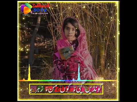 گشنده ساجد گل شاعر وهاب شیرگوازی