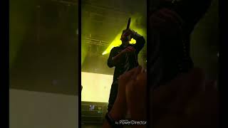 Mickey Singh Concert at Diwali at Times Square 2017