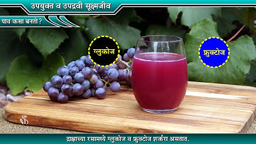 9th Science | Chapter#08 | Topic#05 | पाव कसा बनतो? | Marathi Medium