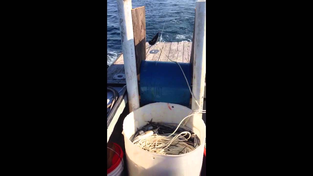Two ways to set halibut trawls. Longlining for halibut YouTube