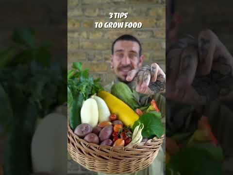 3 DIY Tips To Grow Food! #shorts