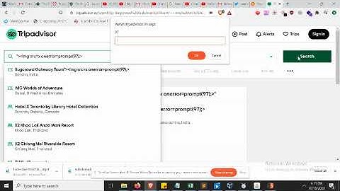 TRIP ADVISOR  reflected cross-site scripting (xss) vulnerabilities | Bug bounty hunter online