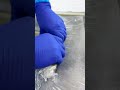大きさ・脂乗りにこだわった【さば鮨「極」】