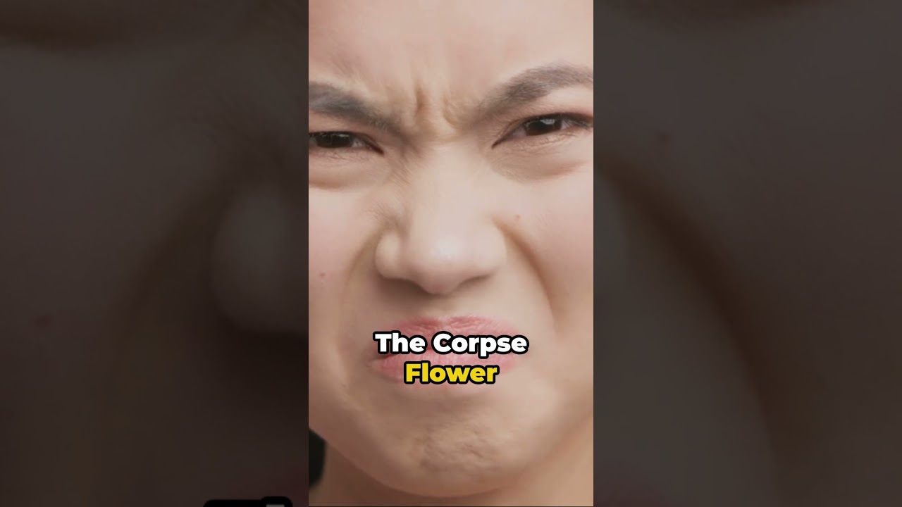 Do plants have genders?  