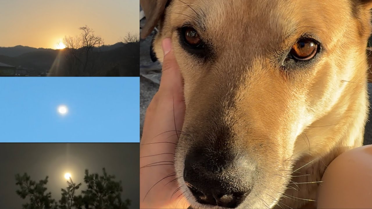 산책 산책 산책 산책