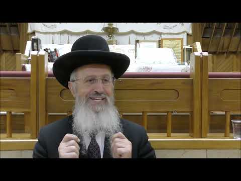 הגאון הרב אברהם יוסף שליט"א איזה תנאי צריך לעשות בקניית האתרוג תשפ"ג