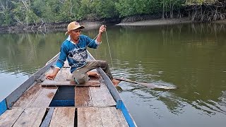 HARI-HARI PANEN BARRAMUNDI, NIKMAT TUHAN MANA LAGI YANG KAU DUSTAKAN