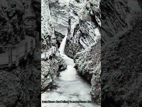 ألبي مات اغنية قلبي مات  نادين الراسي قلبي مات 