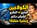 الكولاجين البحري مقابل الكولاجين البقري | مظهر أكثر شباباً وبشرة قوية ومرنة للأبد | الحقيقة هنا!