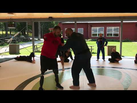 Travis Mills Dojo Storm