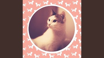 Pulsating Music for Happy Cat