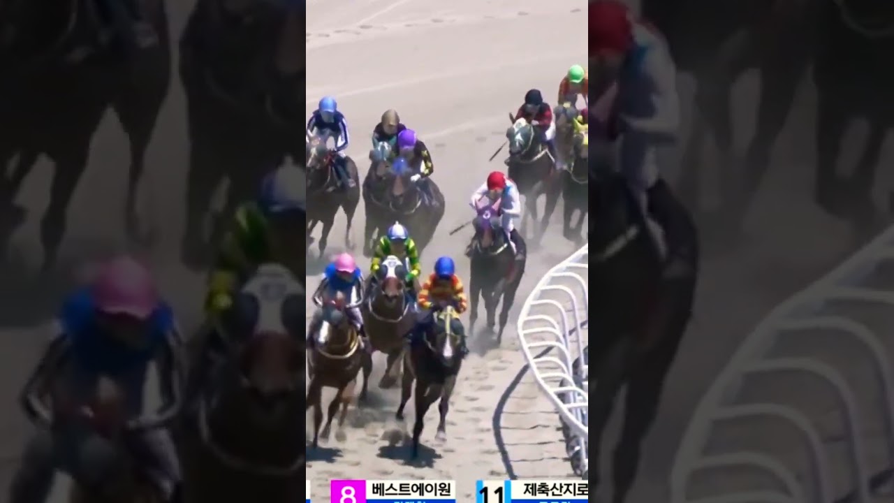 23.3배단통3-11적중