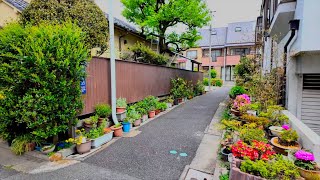 Walking Narrow Alleys, Horikiri Tokyo | 4K HDR