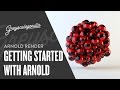 Getting Started With Arnold For Cinema 4D
