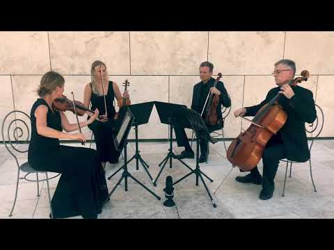 Video: Quartet Ua Los Ntawm Trio