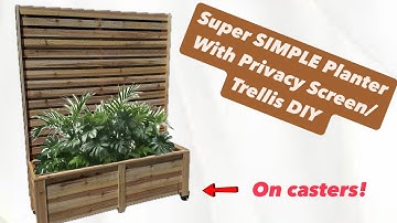 Planter with Trellis/Privacy Screen on Casters DIY | Step by Step Guide
