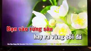 Đường về quê hương