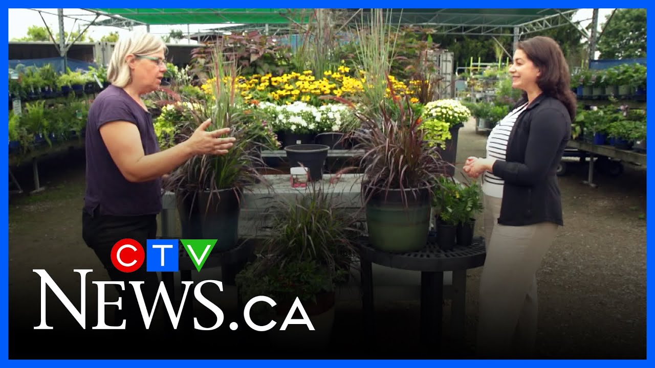 Get Growing: Fall planters