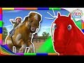 Pinta y Limpia al Caballo Percherón y Tito - Aprende Los Colores Con La Granja de Zenón | A Jugar