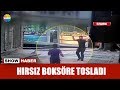 Hırsız, boksöre tosladı!
