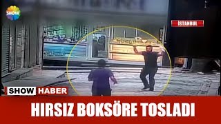 Hırsız, boksöre tosladı!