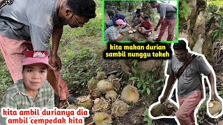 Hari Ini Kita Dapat Durian sangat banyak ...Ada Orang Curi dan Kita Ambil Balek 