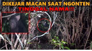 MASUK HUTAN BELANTARA DIMALAM HARI~SENSASI EKSTRIME
