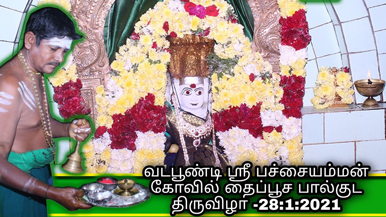 ஸ்ரீ பச்சையம்மன் கோவில் பால்குடம்|vadapoondi Pachaiyamman kovil|Kallakurichi distric