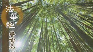 【靜思妙蓮華】法華經譬喻品 - 不共之莊嚴 - 20200918 第471集