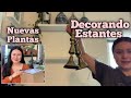 Abriendo un paquete de plantas y decorando conmigo en interior|orbelina marquez