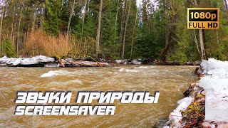 Живая природа - Бурная река | Звуки природы | Звуки реки | Релаксация | Снятие стресса | Заставка ТВ