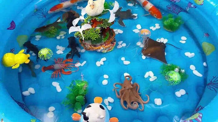 Let's explore what fish and sea creatures there are:sharks,jellyfish#goldfish#animals#viral videos