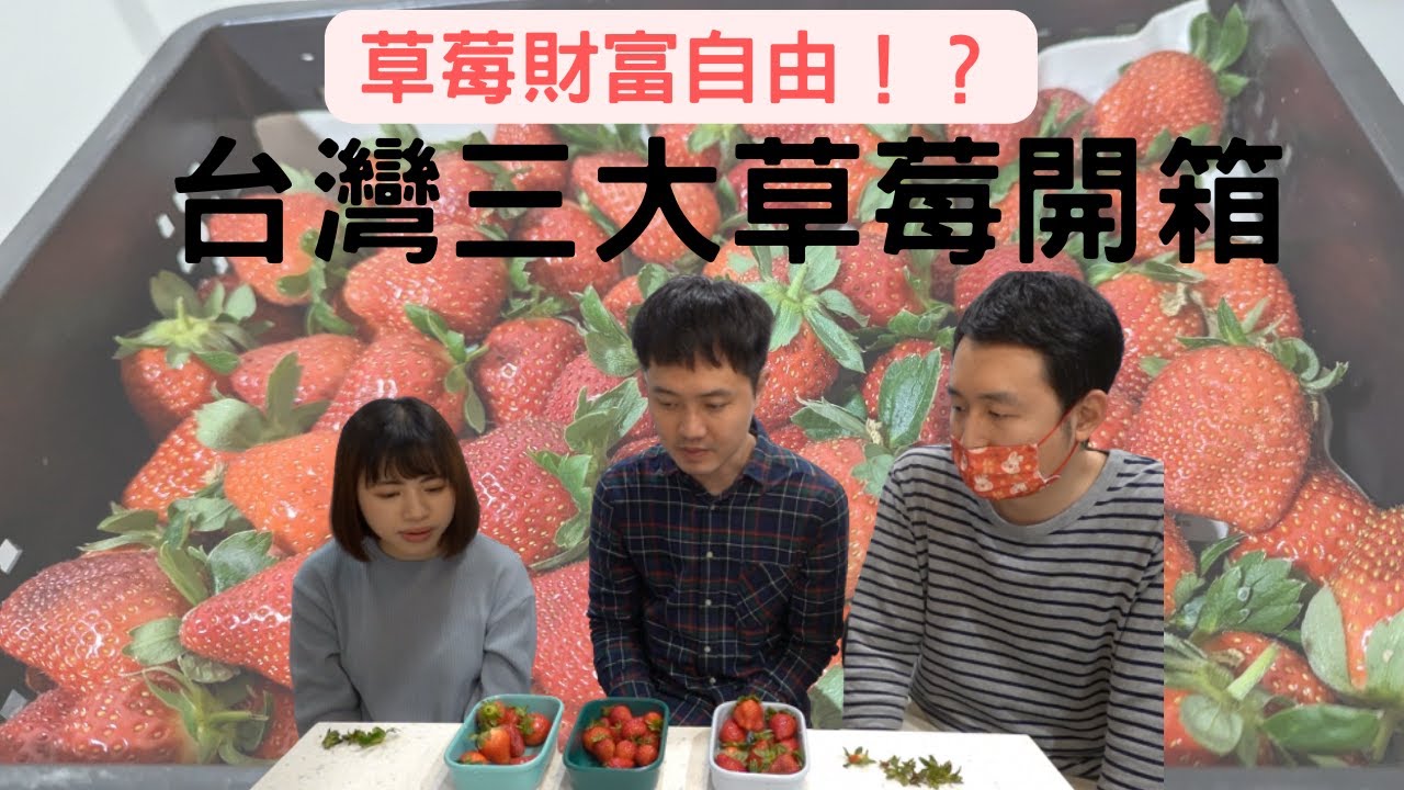 草莓財富自由!? 台灣三大草莓吃到飽評測 #香水 #美姬 #豐香 小時候的味道再現 草莓界夢幻逸品 期間限定 白草莓登場