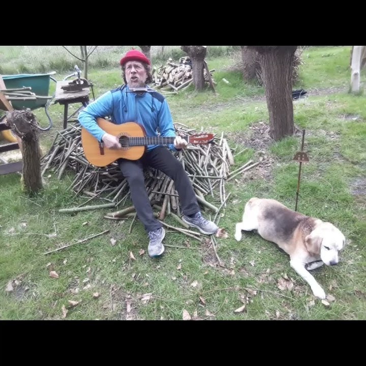 ' Jevo Jevo, Receptie Pas Smash ' 4 #harmonica #guitar #funny #garden #volleyball #sports #dog