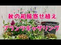 上から秋の和風の寄せ植え／プランツギャザリング