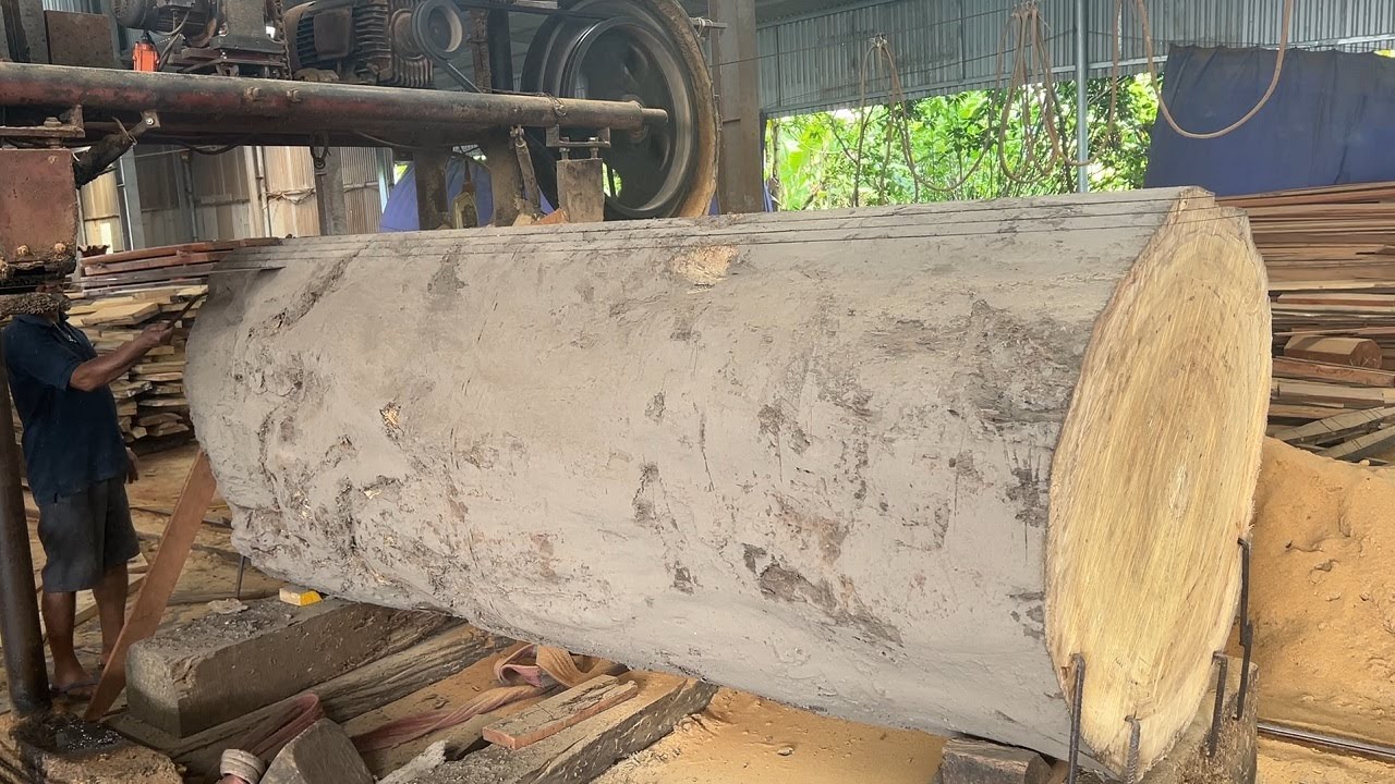 Amazing Wood Processing & Sawmill Equipment - Biggest Saw, Inside The Factory Sawn Wood Large