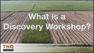 What is a Discovery Workshop
