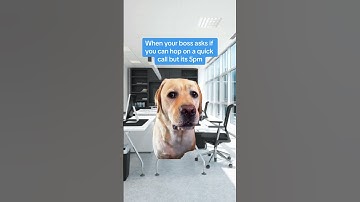 Can you send me a video message instead? #snagit #screenshot