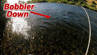 Fishing The First 2026 American Shad Run On The River