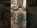 Loin my friend #ai #youtube #love #instagram #funny #viral #memes