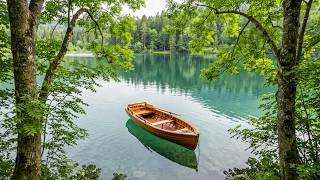 Soft music soothes the nervous system and refreshes the soul 🌿 Music heals the heart and mind screenshot 4