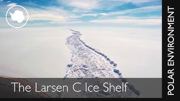 Larsen C Ice Shelf