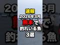 熊本で釣れている魚3選#釣り #shorts