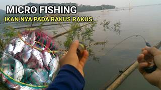 UMPAN INI CUKUP AMPUH UNTUK MANCING IKAN LALAWAK,BADAR,REGIS,WADER‼️ MICRO FISHING.