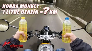1 Litre benzin İle kaç km gidilir? | Honda Monkey motosiklet test ettim | Kolaçan